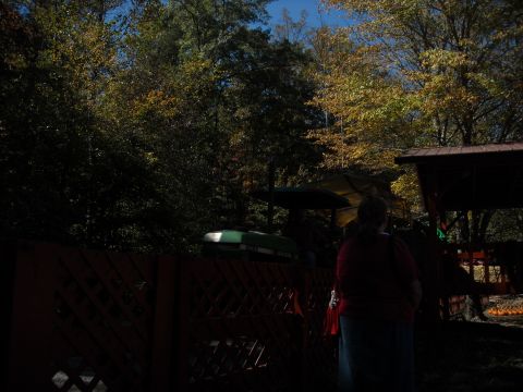 1979 Ford F-150 - A green tractor is partially visible behind a red fence with autumn foliage in the background.