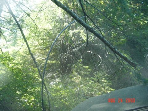 1989 Ford Bronco - Antenna flex...I drove up the big hill on "7up" and saw it was a rock wall (winch required) so I was backing down when I saw this...kinda c…