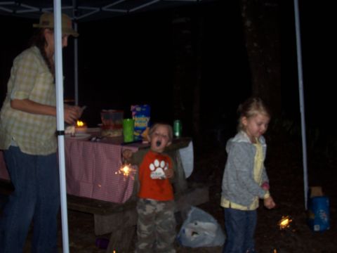 1994 Ford Bronco - Kids enjoying sparklers during an outdoor gathering at night.