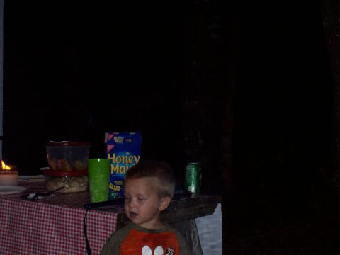 1994 Ford Bronco - A young child sits at a picnic table laden with food and a lit candle, with a box of Honey Maid cereal visible.
