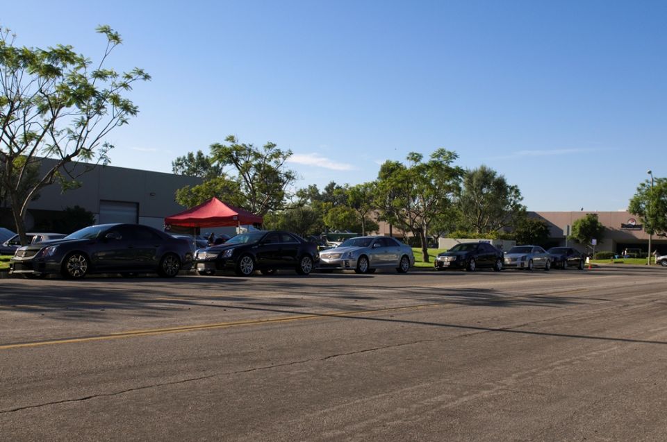 Several dark and silver Cadillac sedans parked in a row on a sunny day