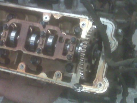 2001 Ford Crown Victoria - Close-up of engine internals, revealing camshafts and a timing gear assembly.