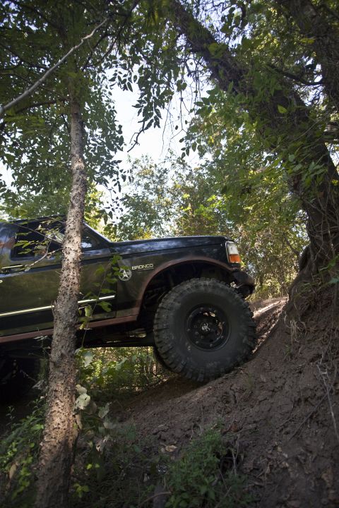 1995 Ford Bronco - A modified Ford Bronco navigates a steep dirt path surrounded by trees.