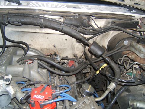1988 Ford Bronco - Close-up view of a vehicle's engine bay, an MSD ignition distributor and complex wiring.