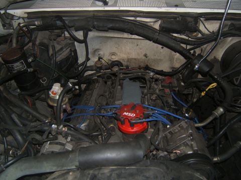 1988 Ford Bronco - Engine bay with an MSD distributor installed, surrounded by hoses and wiring.