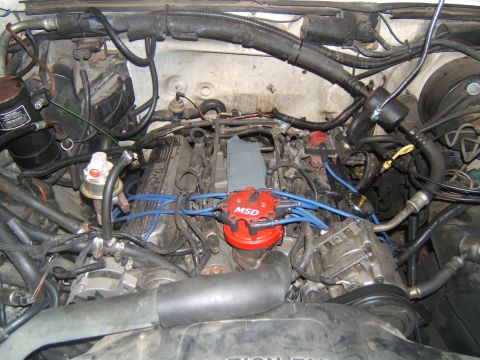 1988 Ford Bronco - Close-up view of an engine bay, an MSD ignition distributor and various hoses and wiring.