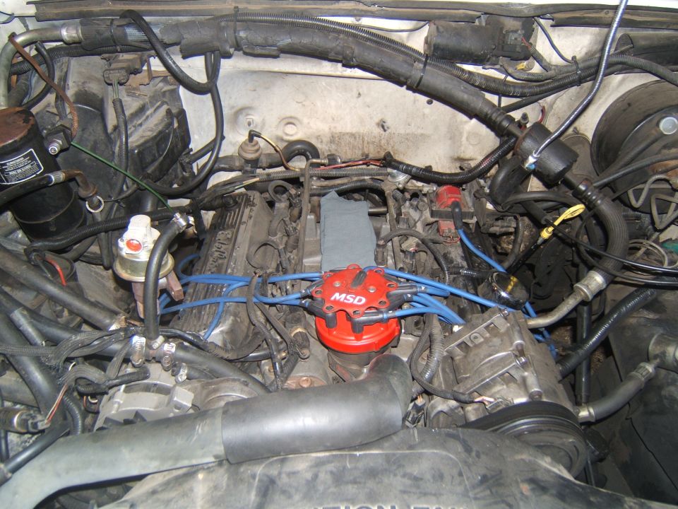 Engine bay with a red MSD distributor and blue spark plug wires