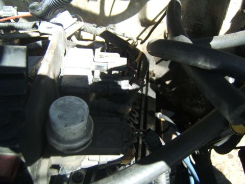 1988 Ford Bronco - A look at the complex wiring and components within the engine compartment.