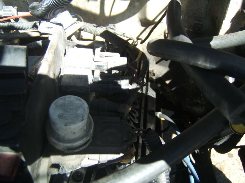 Close-up of engine bay wiring, relays, and a round cap with Ford logo