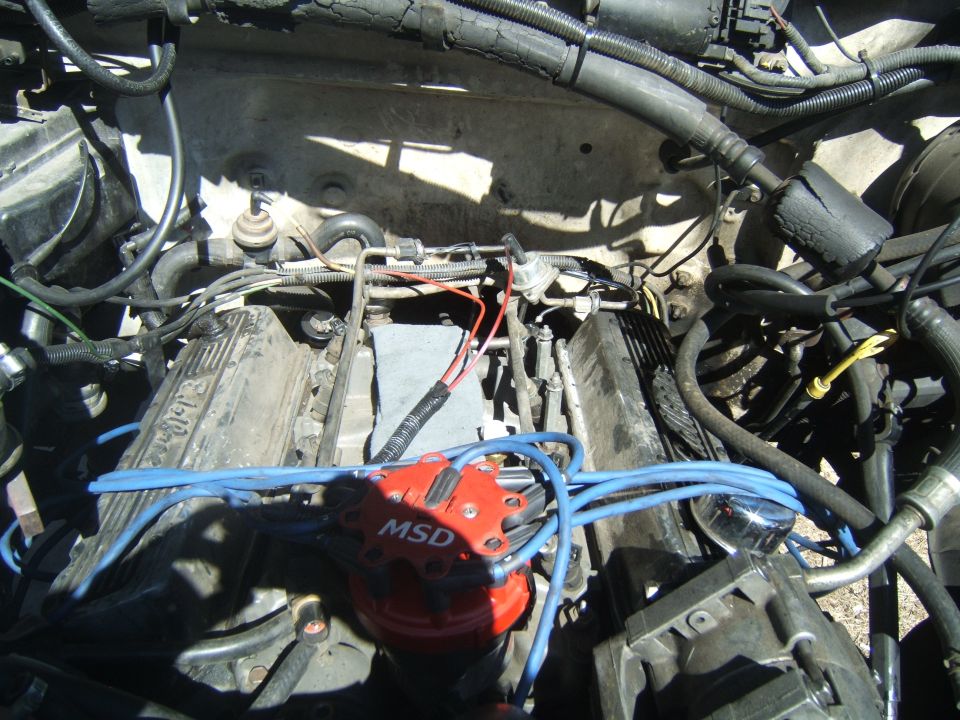 Engine bay with red MSD distributor and blue spark plug wires