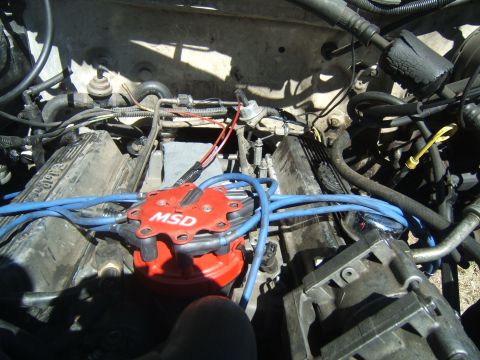 1988 Ford Bronco - Close-up view of an engine bay, highlighting an MSD ignition distributor and associated wiring.