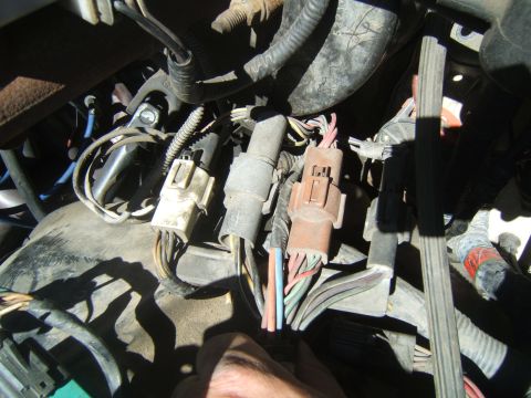 1988 Ford Bronco - Close-up view of an engine's complex wiring harness, showing various connectors and bundled wires.