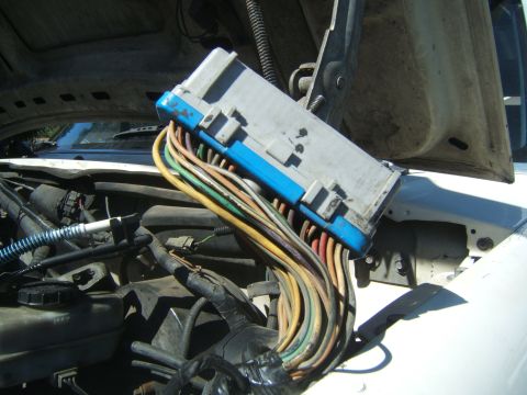 1988 Ford Bronco - Engine control module and its wiring harness are exposed under the hood of a vehicle.