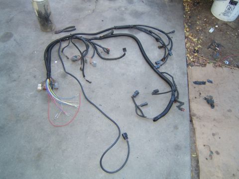1988 Ford Bronco - Engine wiring harness with many connectors and wires spread out on a concrete surface.