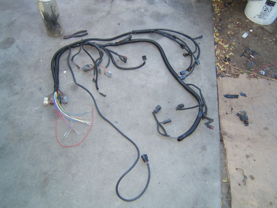 Engine wiring harness laid out on concrete, showing multiple connectors and colored wires
