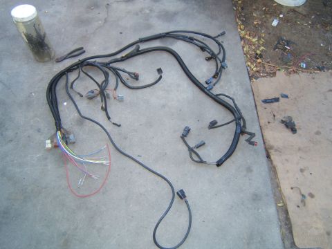 1988 Ford Bronco - A vehicle's engine wiring harness is spread out on a concrete surface, with various connectors and wires visible.