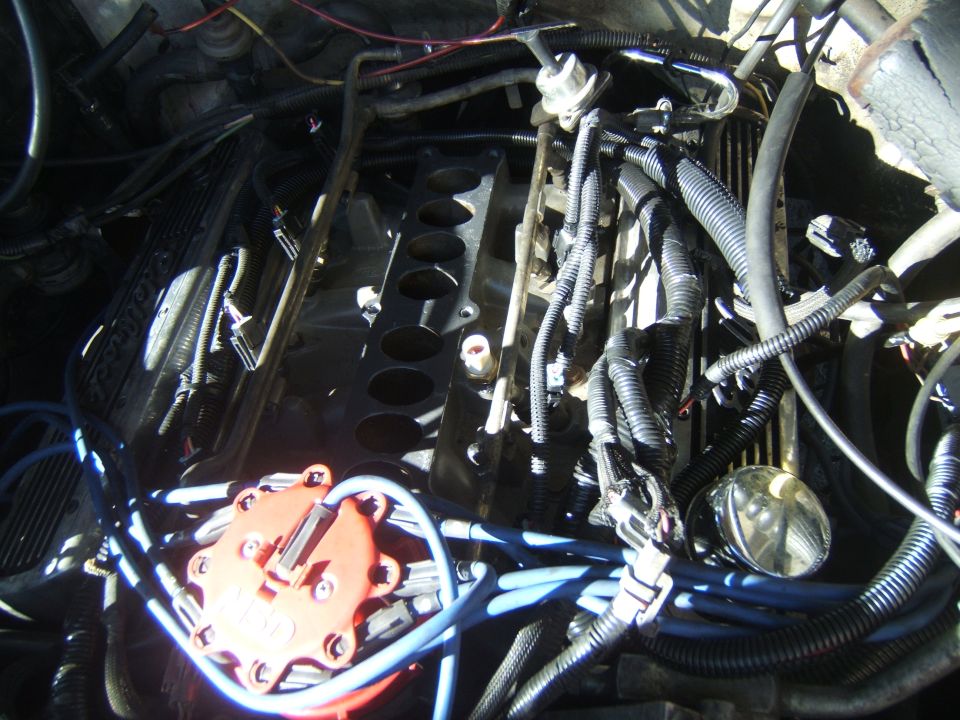 Engine bay with red distributor cap and blue spark plug wires