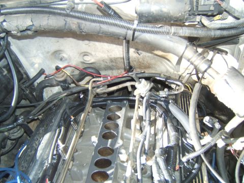 1988 Ford Bronco - Close-up view of the engine bay, focusing on the fuel injection system and associated wiring.