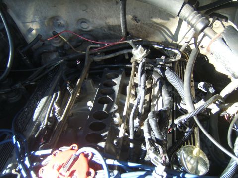 1988 Ford Bronco - Engine bay with intake manifold removed, revealing fuel injectors and wiring harnesses.