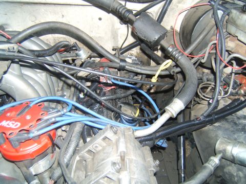 1988 Ford Bronco - Close-up view of an engine bay, highlighting an MSD distributor and associated components.
