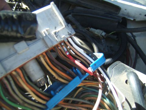 1988 Ford Bronco - A complex engine wiring harness with a white connector and numerous colorful wires is visible.