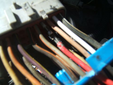 1988 Ford Bronco - A close-up view of a vehicle's wiring harness connector, showing various colored wires leading into the terminal block.