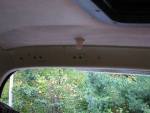 1987 Dodge 1500 - The interior of a vehicle shows the headliner and a view of foliage through the rear window.