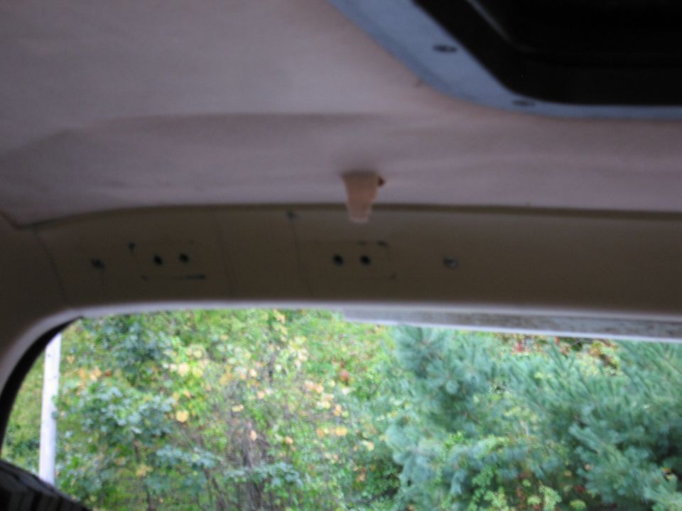 Interior view of a vehicle's headliner and rear window showing trees outside