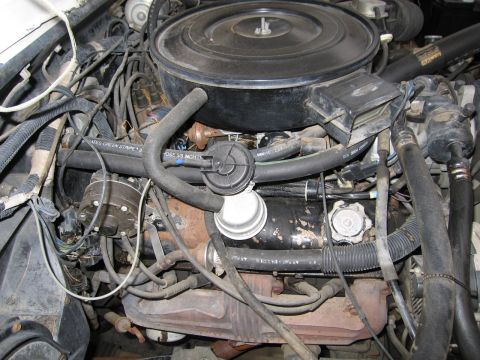1987 Dodge 1500 - A close-up view of a vehicle's engine bay, showing various components like hoses, the air cleaner, and the distributor.