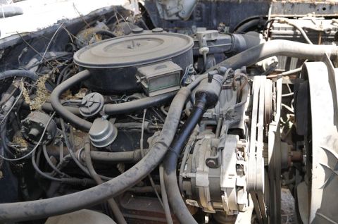 1987 Dodge 1500 - Close-up view of an engine bay, showing various components and hoses.