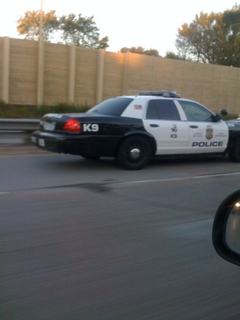 2003 Ford Crown Victoria - girlfriend took this one, Minneapolis PD K-9