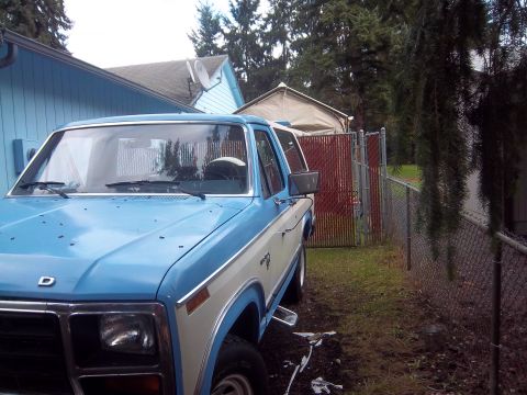 1981 Ford Bronco photo