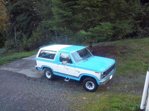 1981 Ford Bronco photo