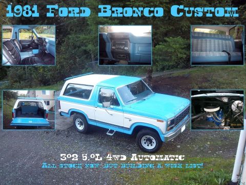 1981 Ford Bronco photo