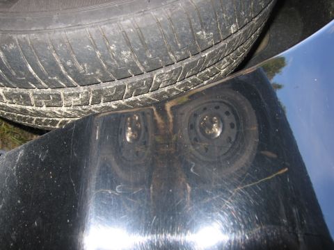 1991 Ford LTD Crown Victoria - Reflection of two wheels on a scratched black car fender, with a tire visible above.