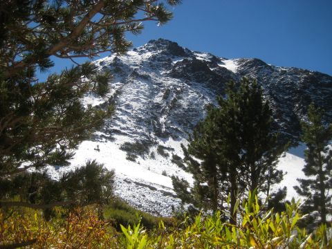 1996 Ford Bronco - A mountain landscape shows snow on its upper slopes, with evergreen trees and fall foliage in the foreground under a bright blue sky.
