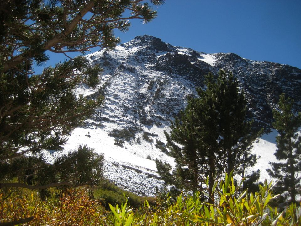 Snow-dusted mountain peak under a clear blue sky, framed by pine branches and autumn-colored brush