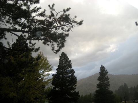 1996 Ford Bronco - A landscape scene pine trees and a dramatic cloudy sky over distant mountains.