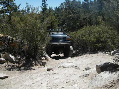 1982 Ford Bronco - Ford Bronco navigates a challenging off-road path through dense vegetation and rocks.