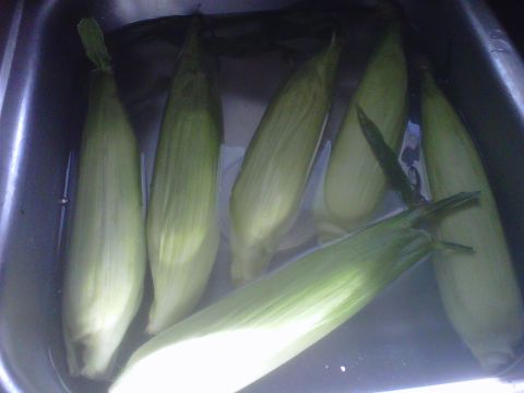 1986 Ford Bronco - Ears of corn are submerged in water, likely for preparation before cooking.