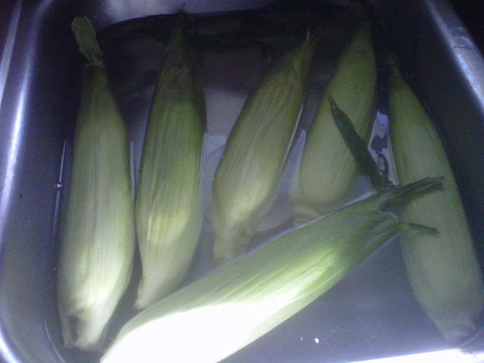 several ears of corn soaking in water in a sink