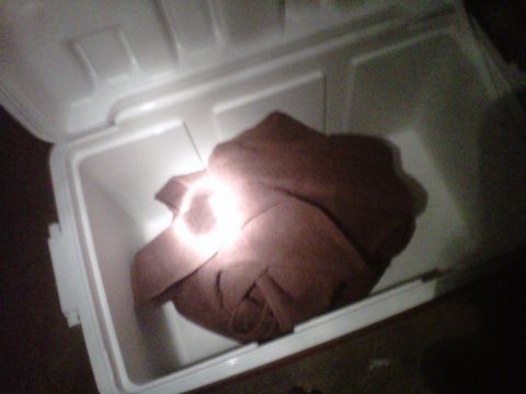 1986 Ford Bronco - A cooler contains a folded blanket, with a bright light reflecting off the blanket's surface.
