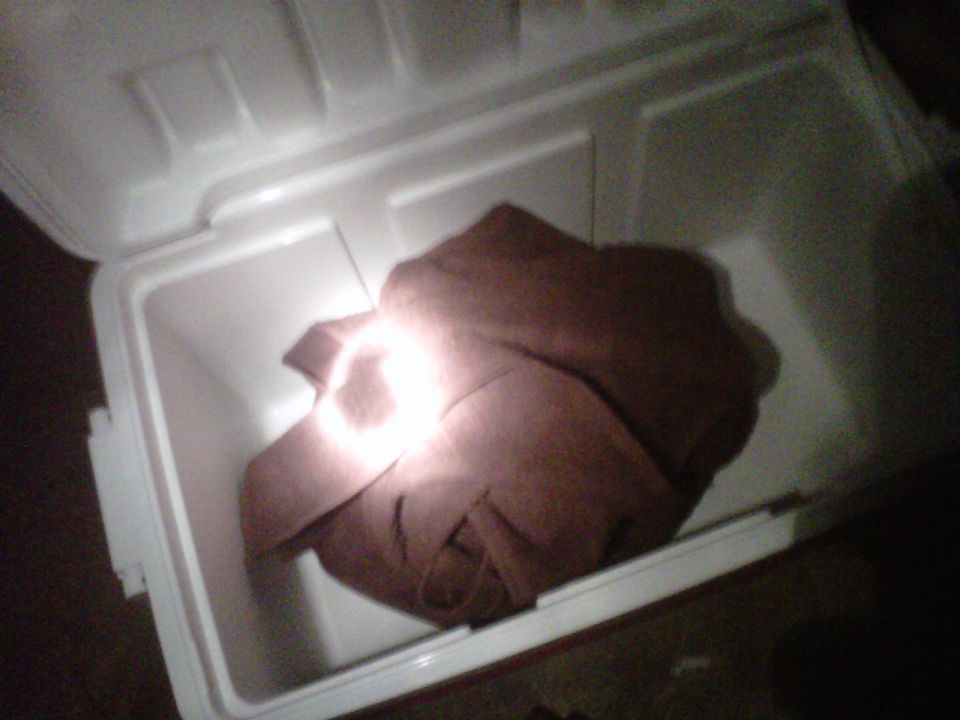 White cooler with a brown blanket folded inside, illuminated by a bright light source