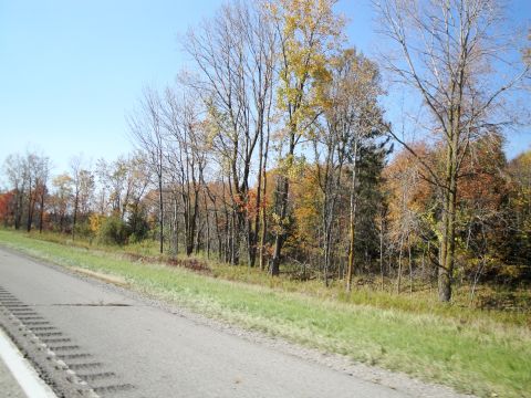 1989 Ford Taurus - Autumn trees line the side of a road under a clear blue sky.
