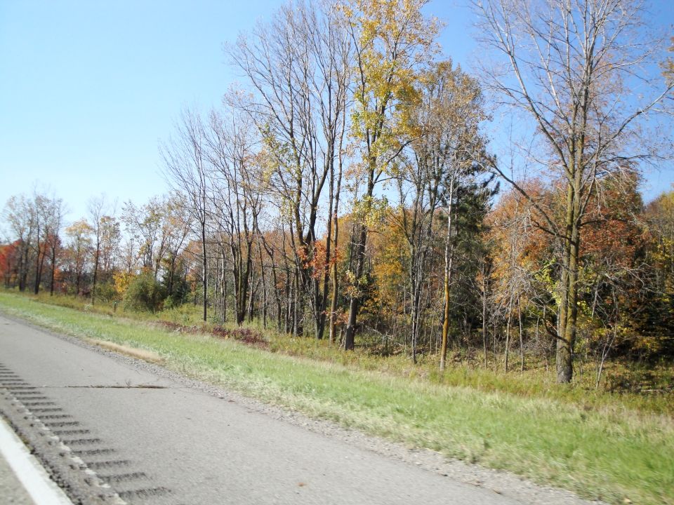 Roadside view of trees with autumn foliage next to a highway