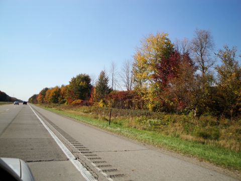 1989 Ford Taurus - Driving down a highway with trees showing fall foliage on the side of the road.