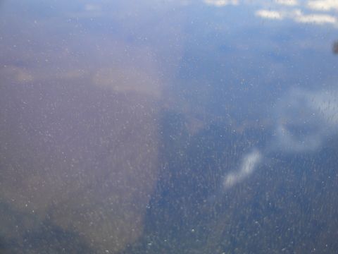 1989 Ford Taurus - A view through a dusty window shows blurry reflections of the sky and land.