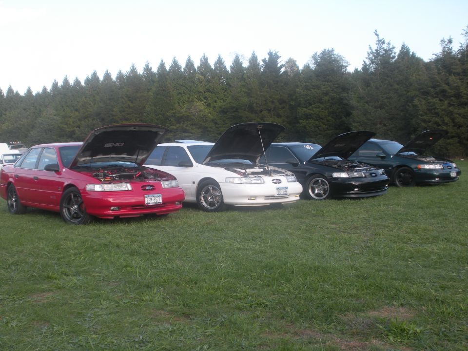 Four first-gen Ford Taurus SHO sedans with hoods open on a grass field