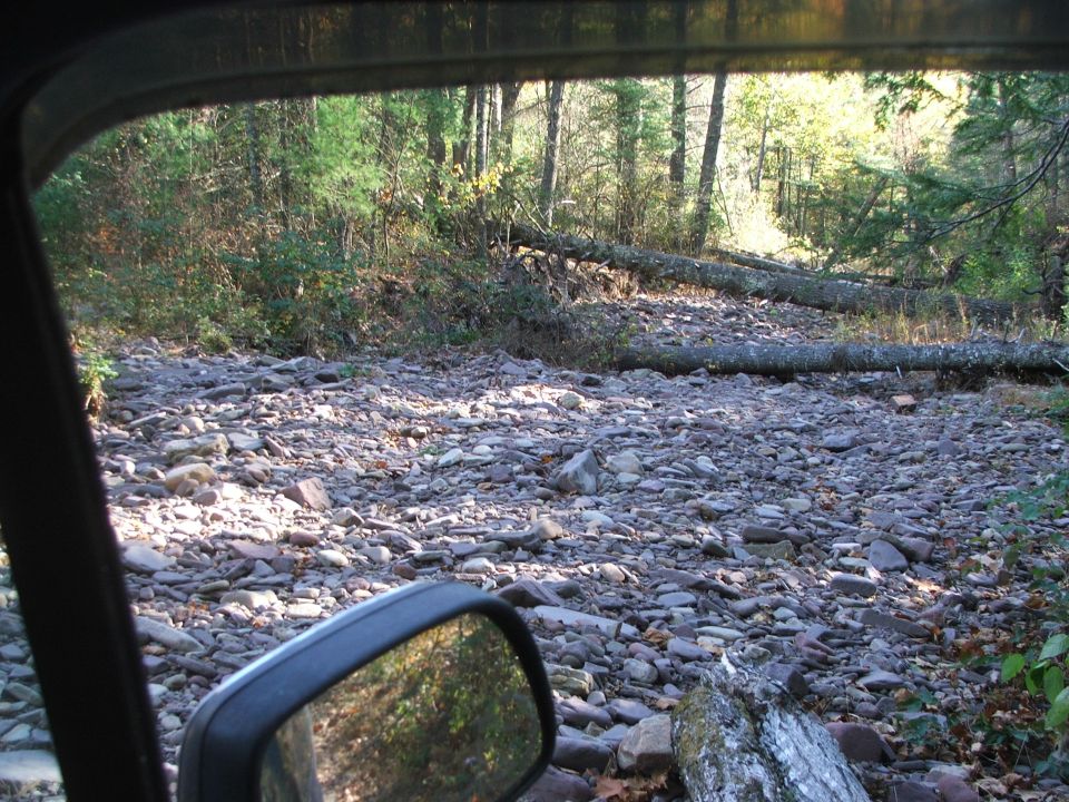 View from inside a vehicle looking out at a rocky, wooded area with fallen trees across the path