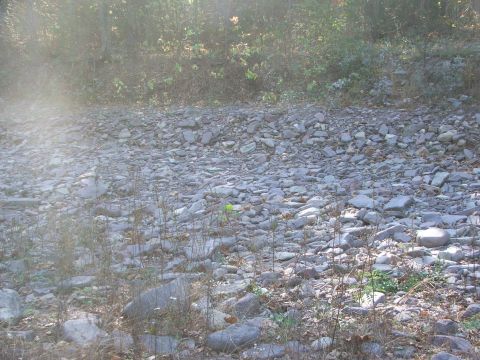 1996 Ford Bronco - A dry, rocky riverbed is shown with sparse vegetation and trees in the background.